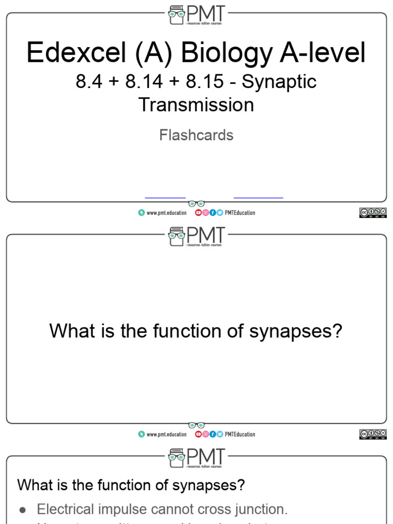 Flashcards - Topic 8 Synaptic Transmission - Edexcel (A) Biology A ...