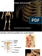 Articulações Do Crânio