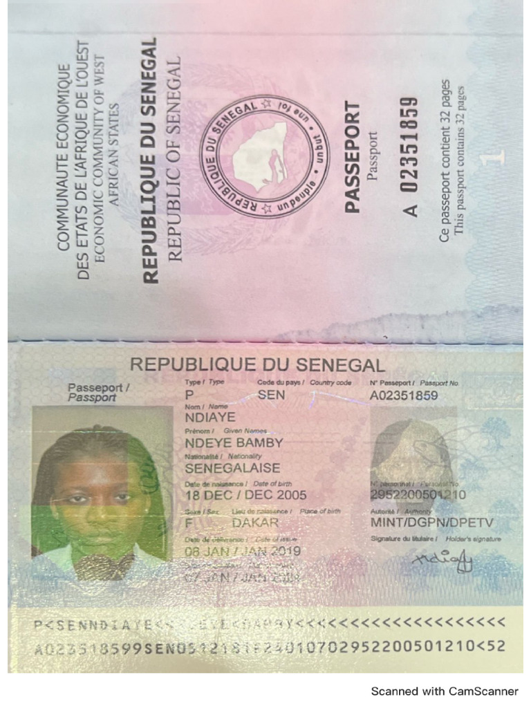 Passport | PDF
