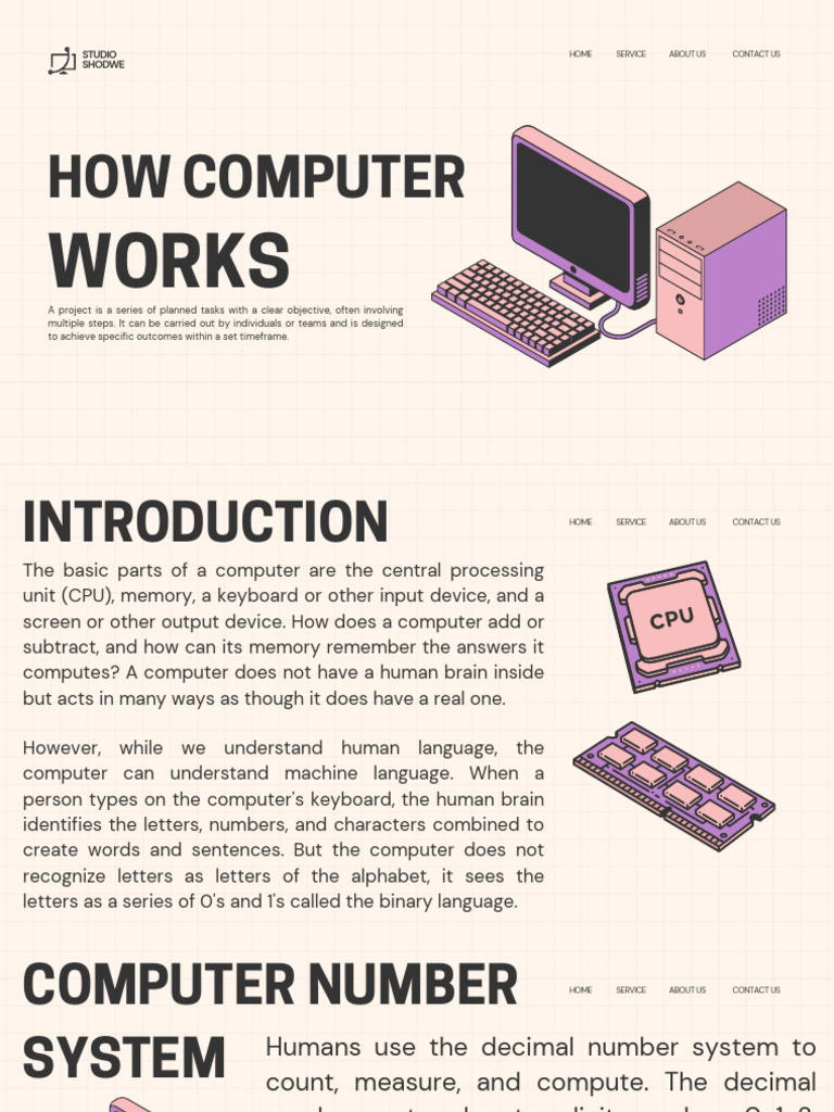 How Coputer Works | PDF