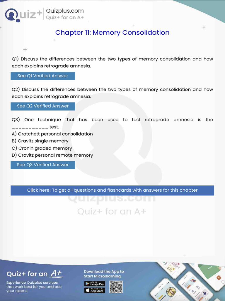 Discuss The Differences Between The Two Types of Memory Consolidation ...