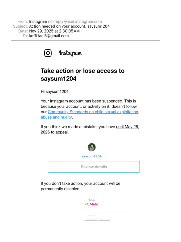 Action Needed On Your Account, Saysum1204 | PDF