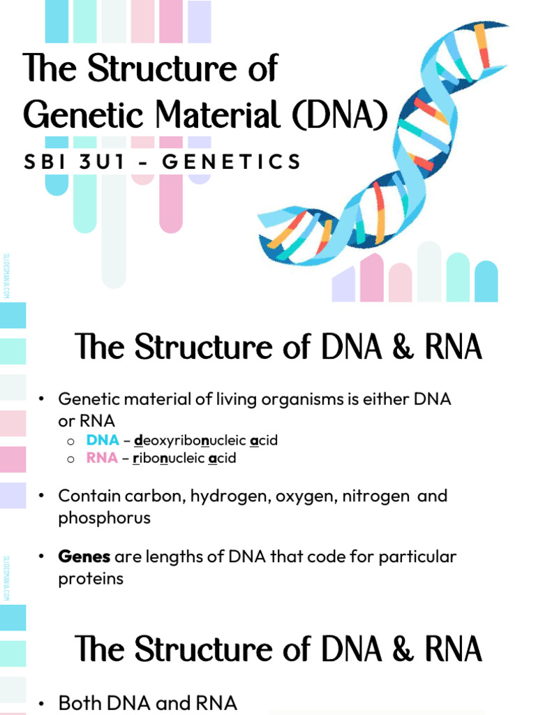 02 Structure of Genetic Material DNA | PDF