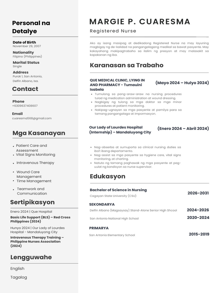 Professional Modern CV Resume 20251007 131313 0000 | PDF