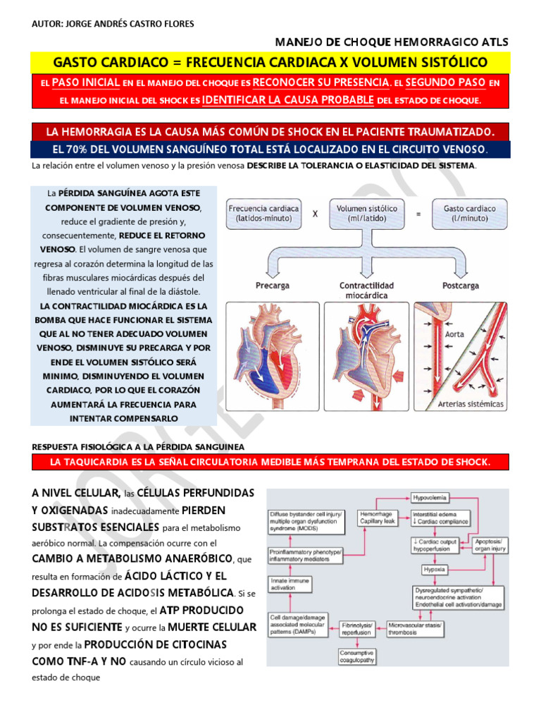 Choque ATLS | PDF