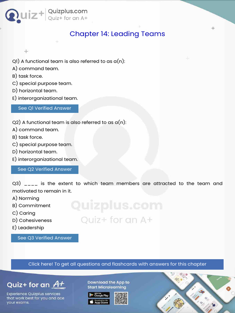 A Functional Team Is Also Referred To As An | PDF