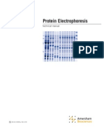 Electroforesis de Proteinas
