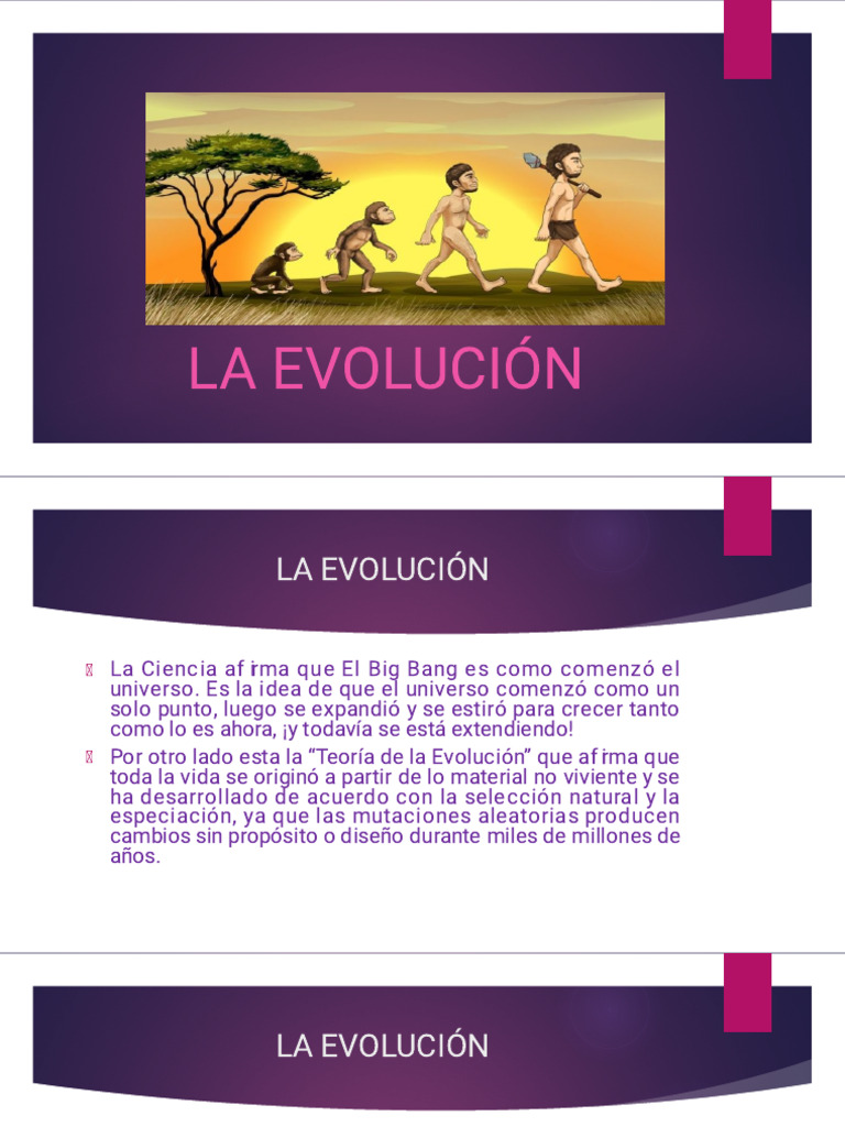 Presentacion Evolución Pdf 