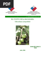 Download Macadamia by Alexa Pape SN101760583 doc pdf