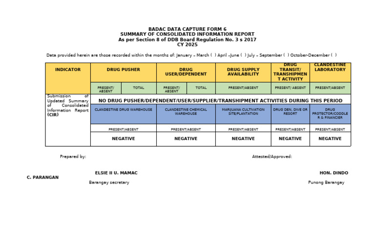 Badac Data Capture Form 6 Summary of Consolidated Information Report As ...
