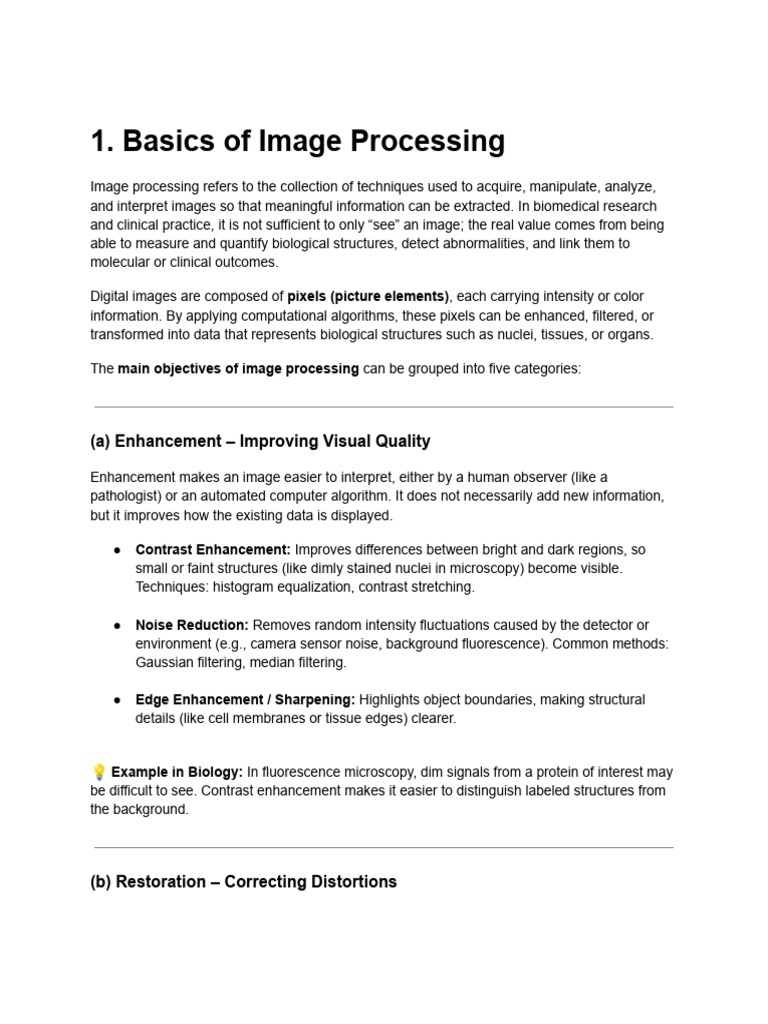 Image Processing | PDF