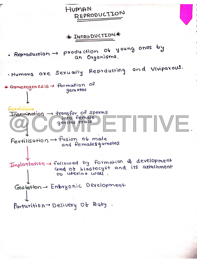 Human Reproduction Handwritten Notes By-Competitive Corner | PDF