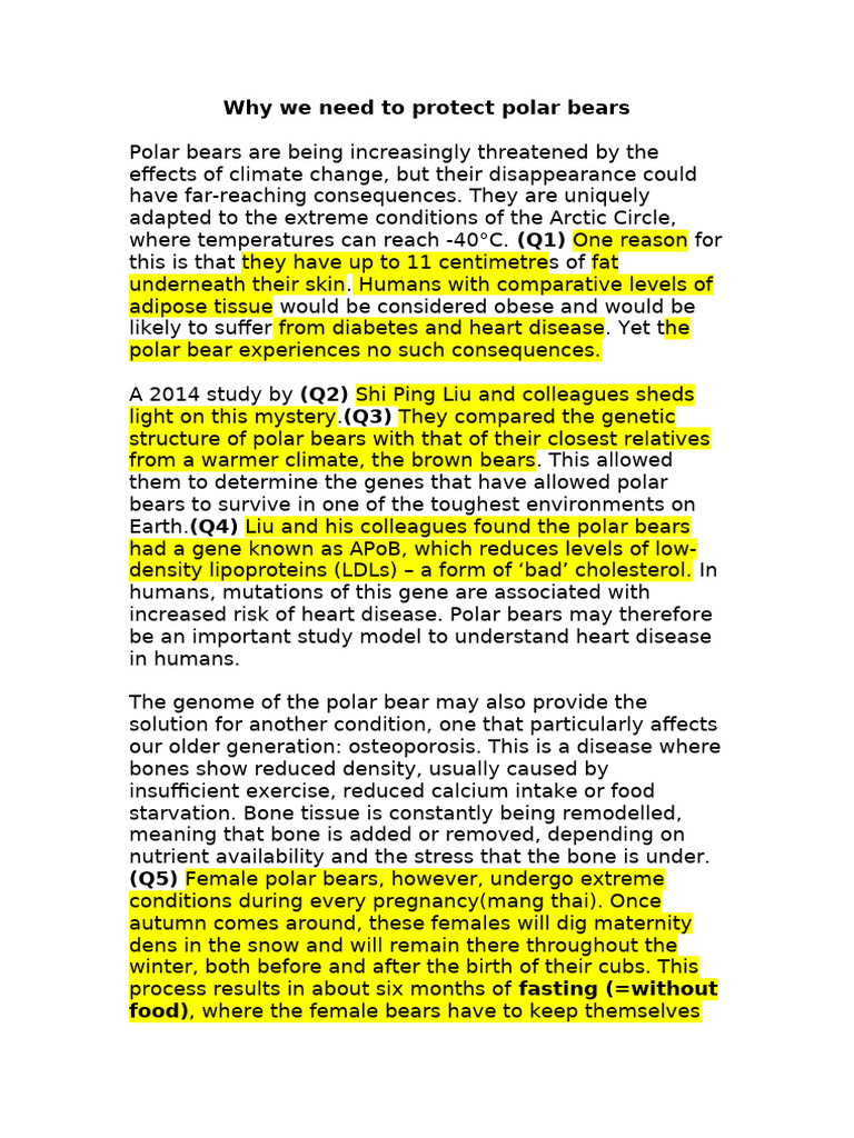 Why We Need To Protect Polar Bears | PDF