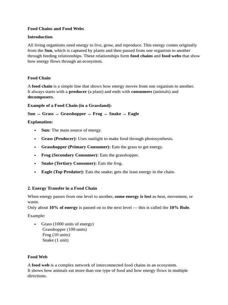 Food Chain and Food Web | PDF | Food Web | Foods