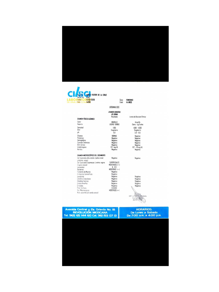 Documento | PDF
