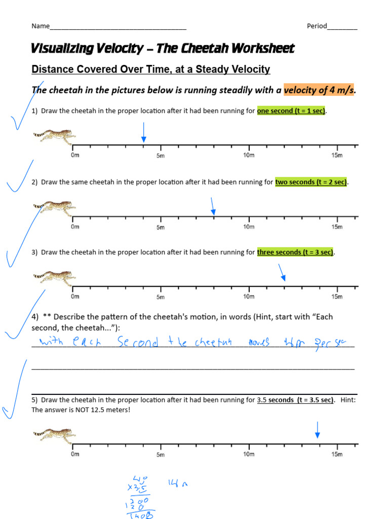 WS Visualizing Velocity Fa21 | PDF | Velocity | Physical Phenomena