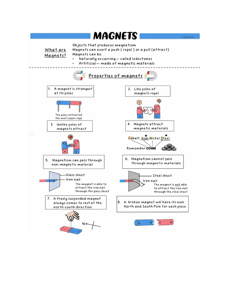 PSLE Science Revision | PDF