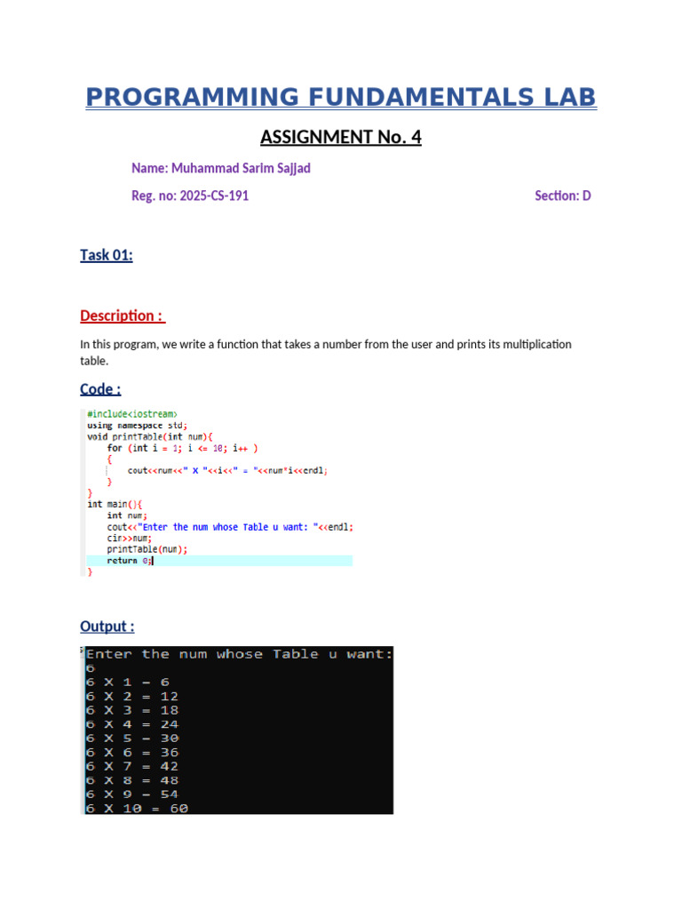 Muhammad Sarim - PF Lab Assignment 04 | PDF