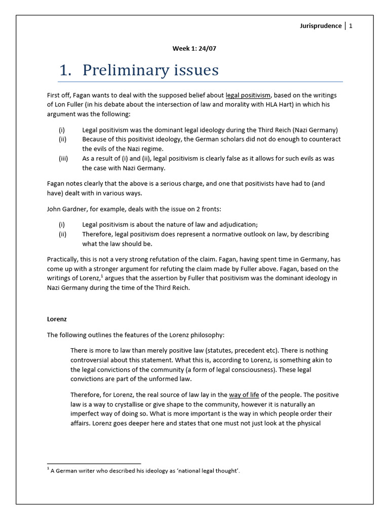 Preliminary Issues | PDF