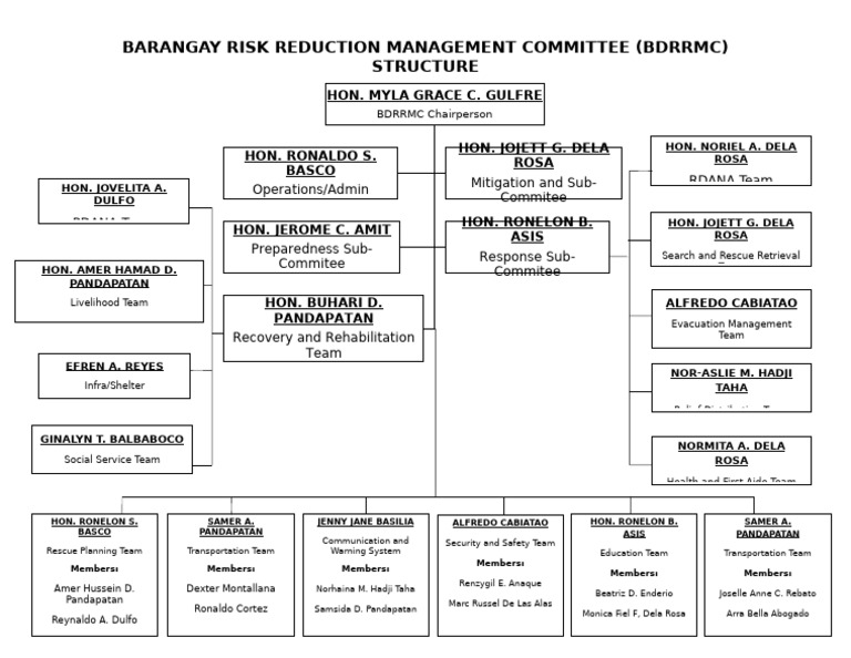 BDRRMC Structure | PDF