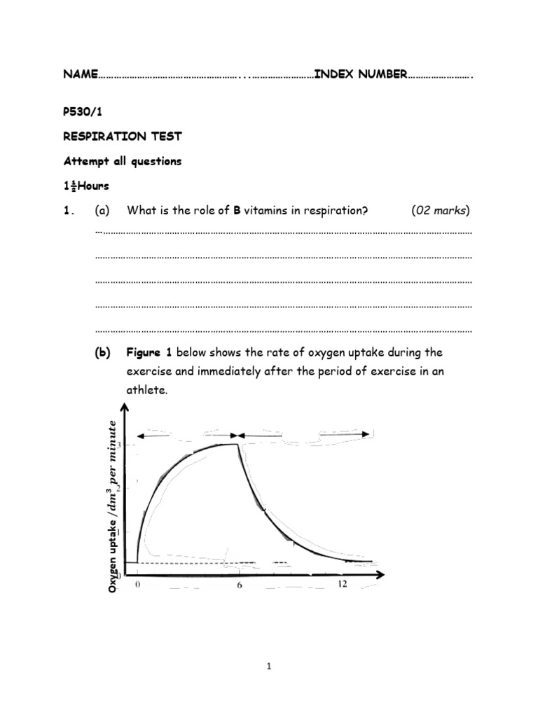 Respiration Test | PDF