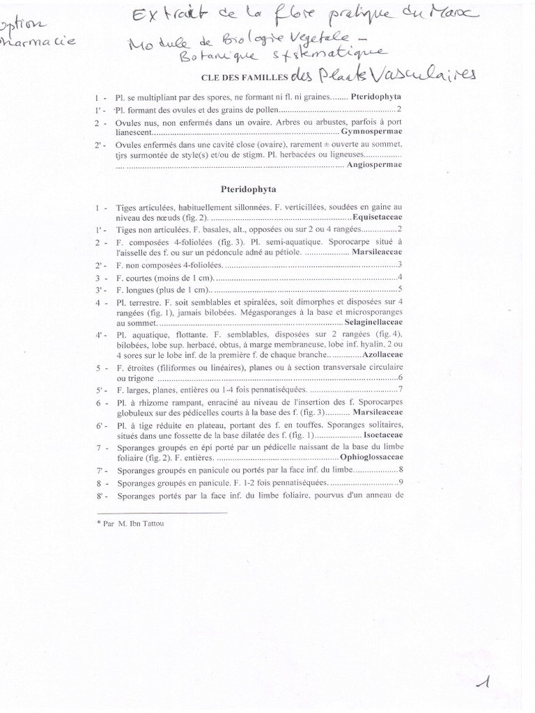 Extrait Flore Pratique Maroc - Plantes Vasculaires - A OUHAMMOU | PDF