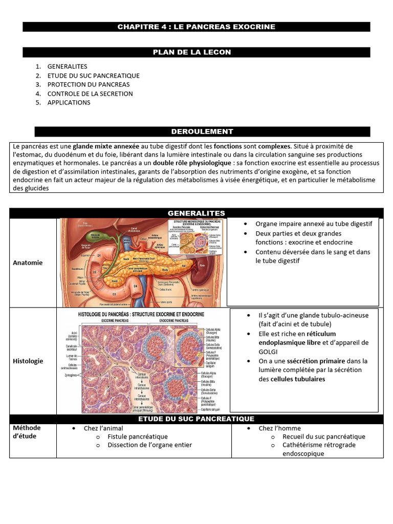 Chapitre 4 - Le Pancréas Exocrine | PDF | Pancréas | Anatomie