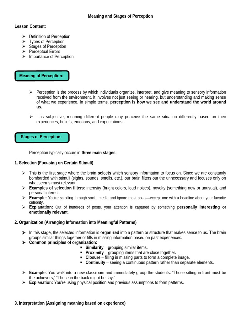 Meaning and Stages of Perception | PDF