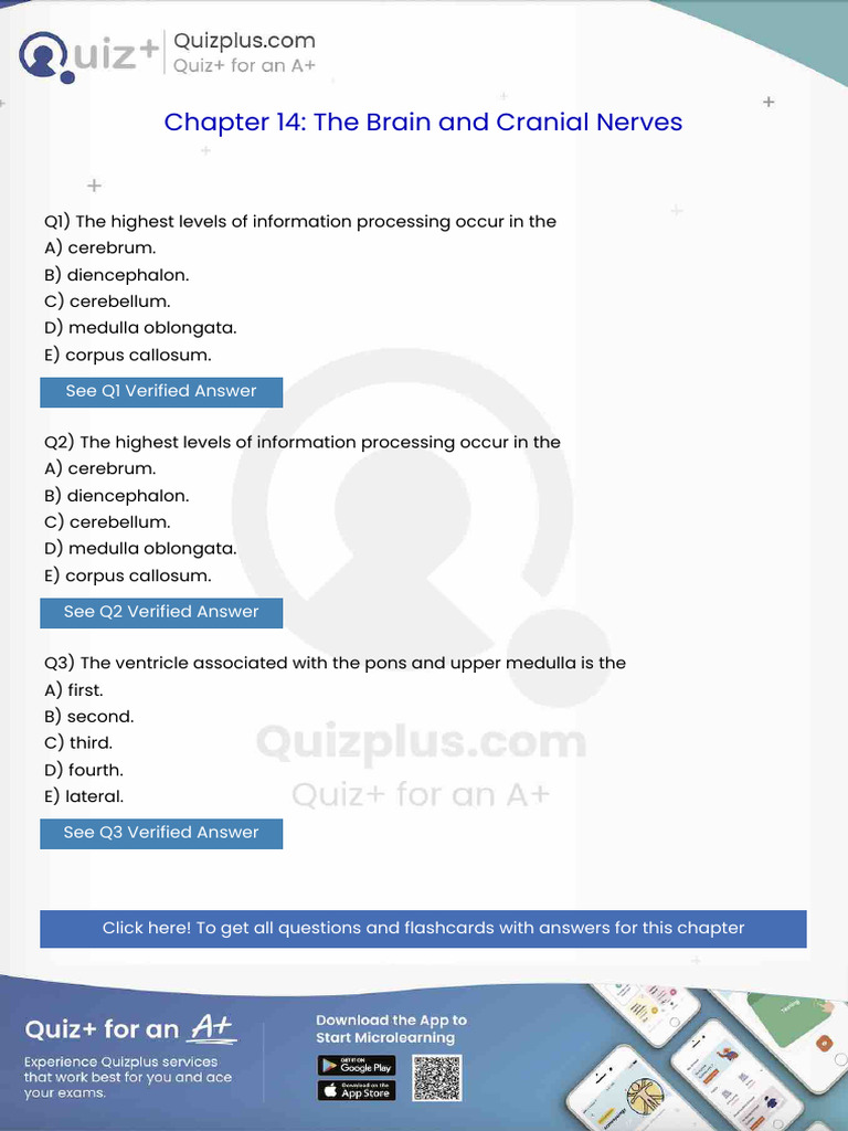 The Highest Levels of Information Processing Occur in The | PDF ...