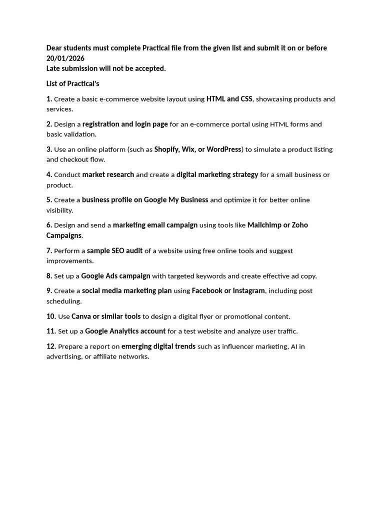 Instrustions Practical Files | PDF