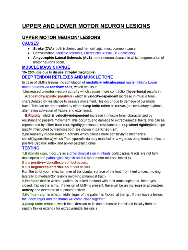 Upper and Lower Motor Neuron Lesions | PDF