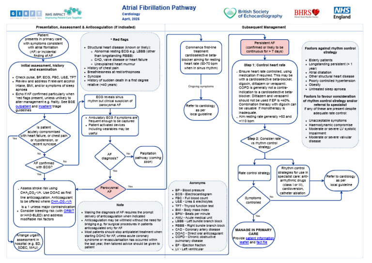 Atrial Fibrillation Pathway April 2025 FINAL | PDF | Heart | Cardiology