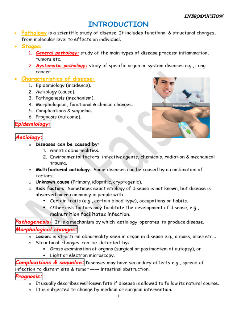 00introduction Handout | PDF