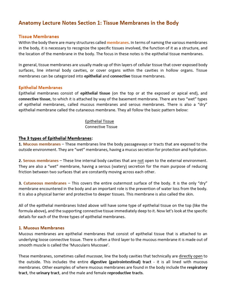 Skin - Notes | PDF