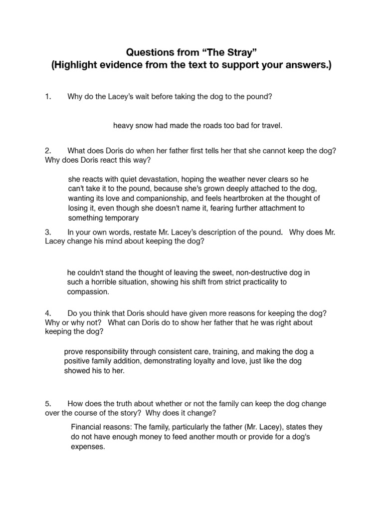 Questions From The Stray | PDF