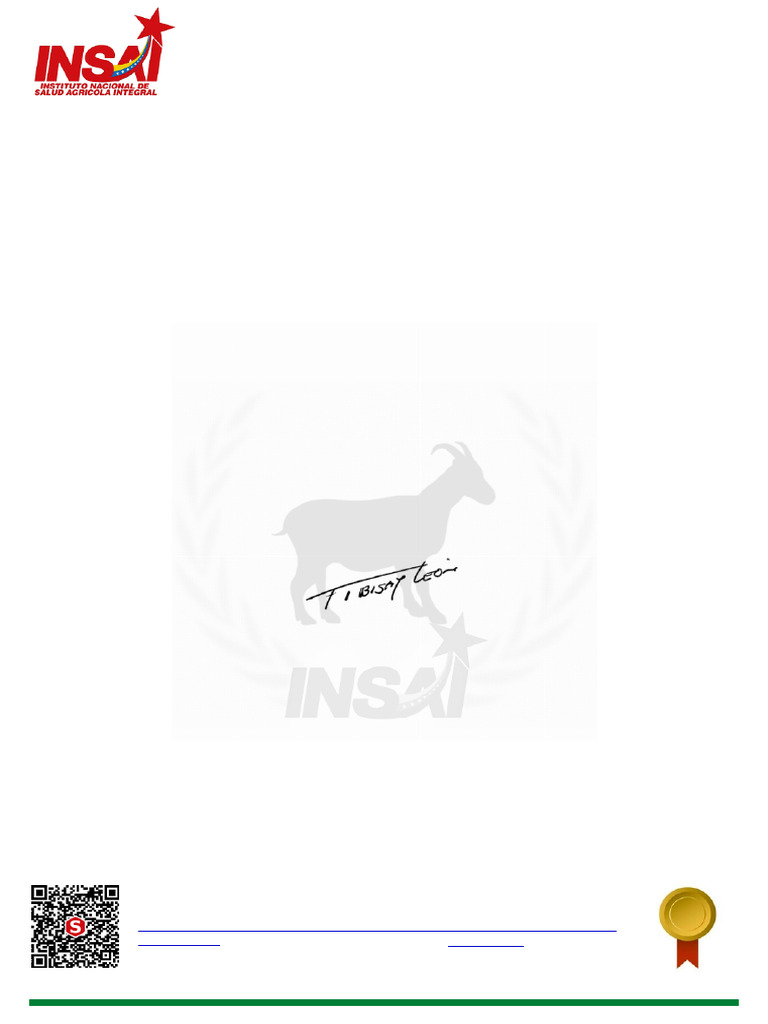 Rre 20250306150339c Insai Exportacion | PDF