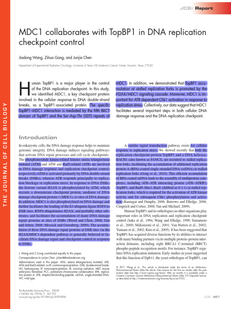 MDC1 Collaborates With TopBP1 in DNA Replication Checkpoint Control | PDF