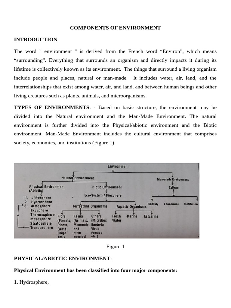 Components of Environment | PDF | Natural Environment | Earth