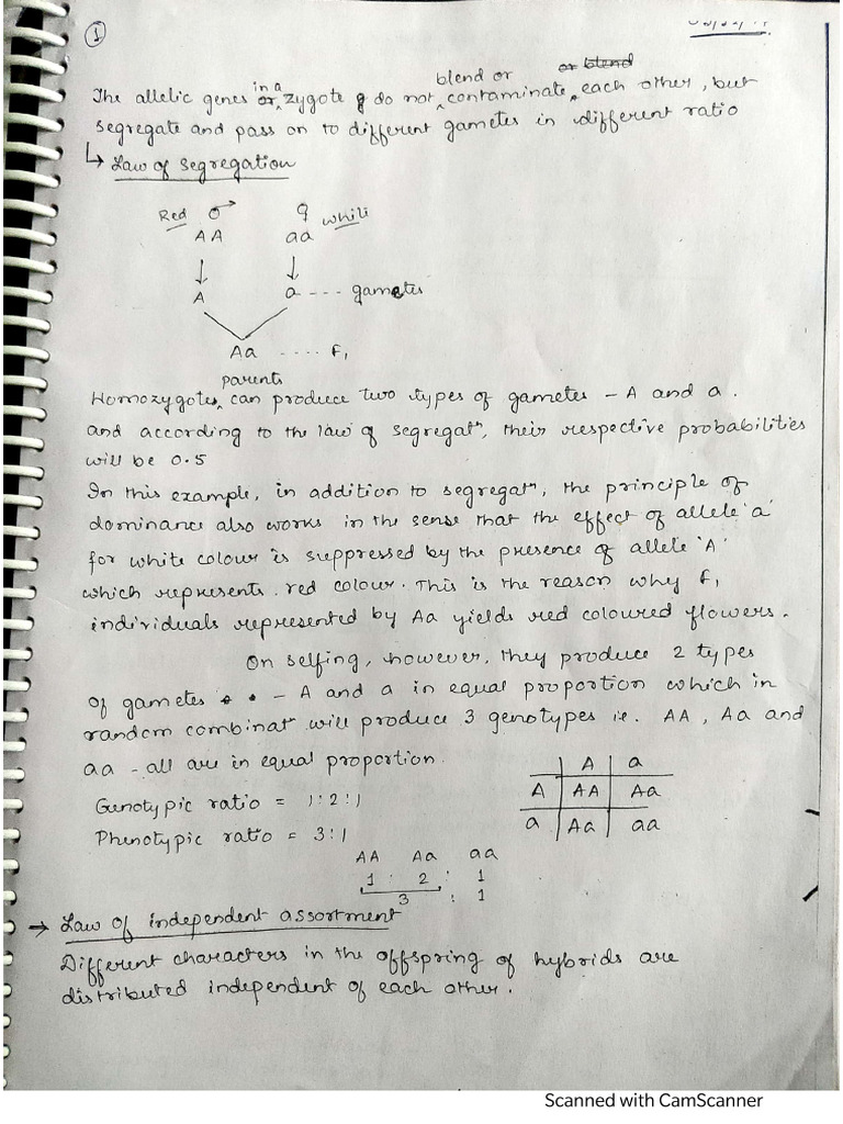 Tanwy Mam Notes | PDF