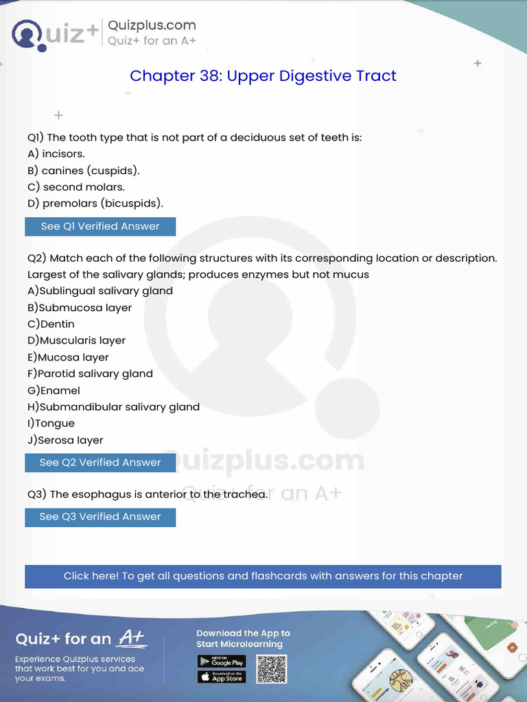 The Tooth Type That Is Not Part of A Deciduous Set of Teeth Is | PDF ...