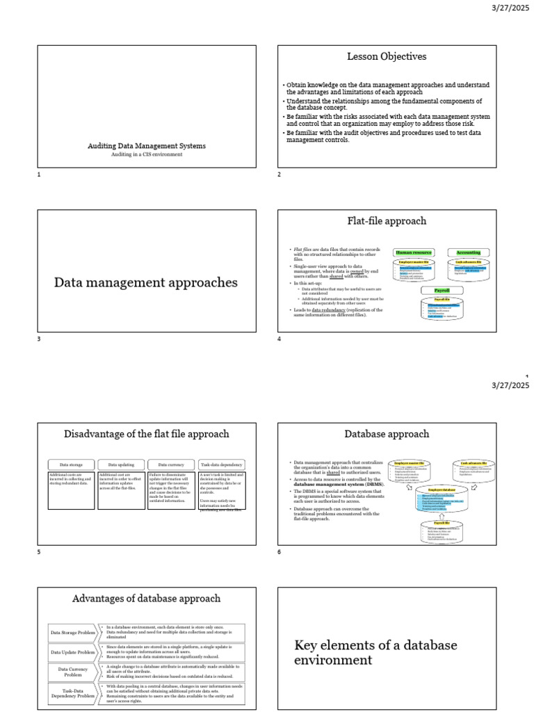 Finals 2 - Auditing Data Management Systems (A4) | PDF