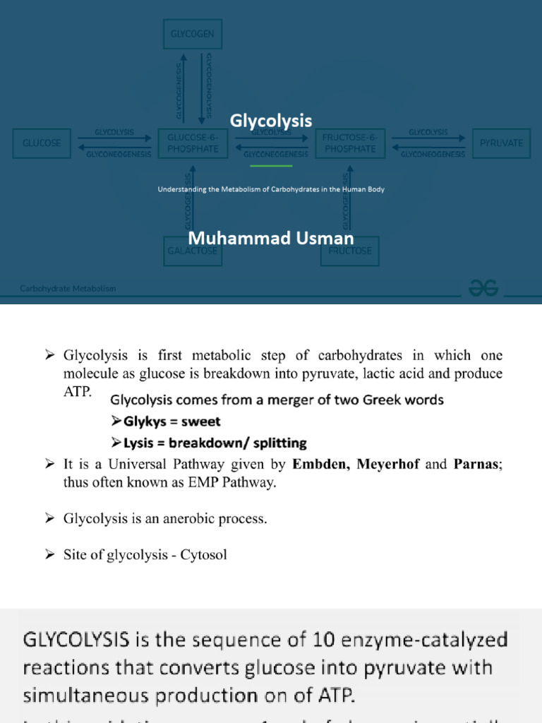 Glycolysis - Pathway Overview and Step-by-Step Analysis | PDF ...