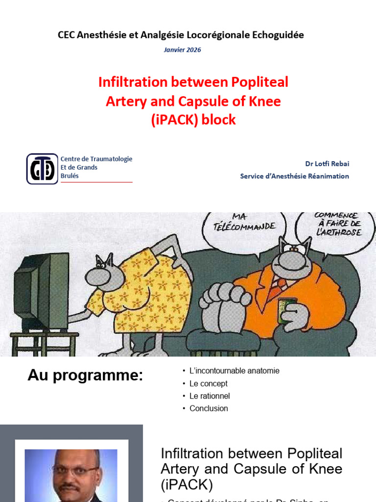 IPACK Block 1 | PDF | Anatomie humaine | Appareil locomoteur