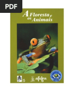 A Floresta e Os Animais!!!