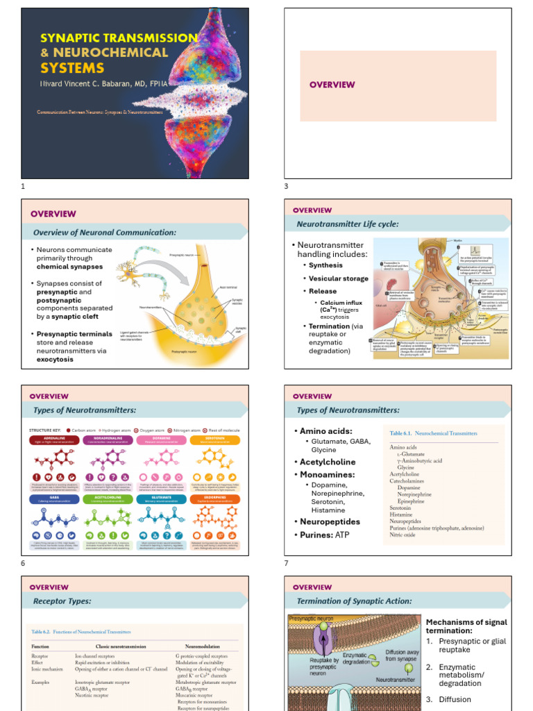 3 Synaptic Transmission and Neurochemical Systems Handouts | PDF