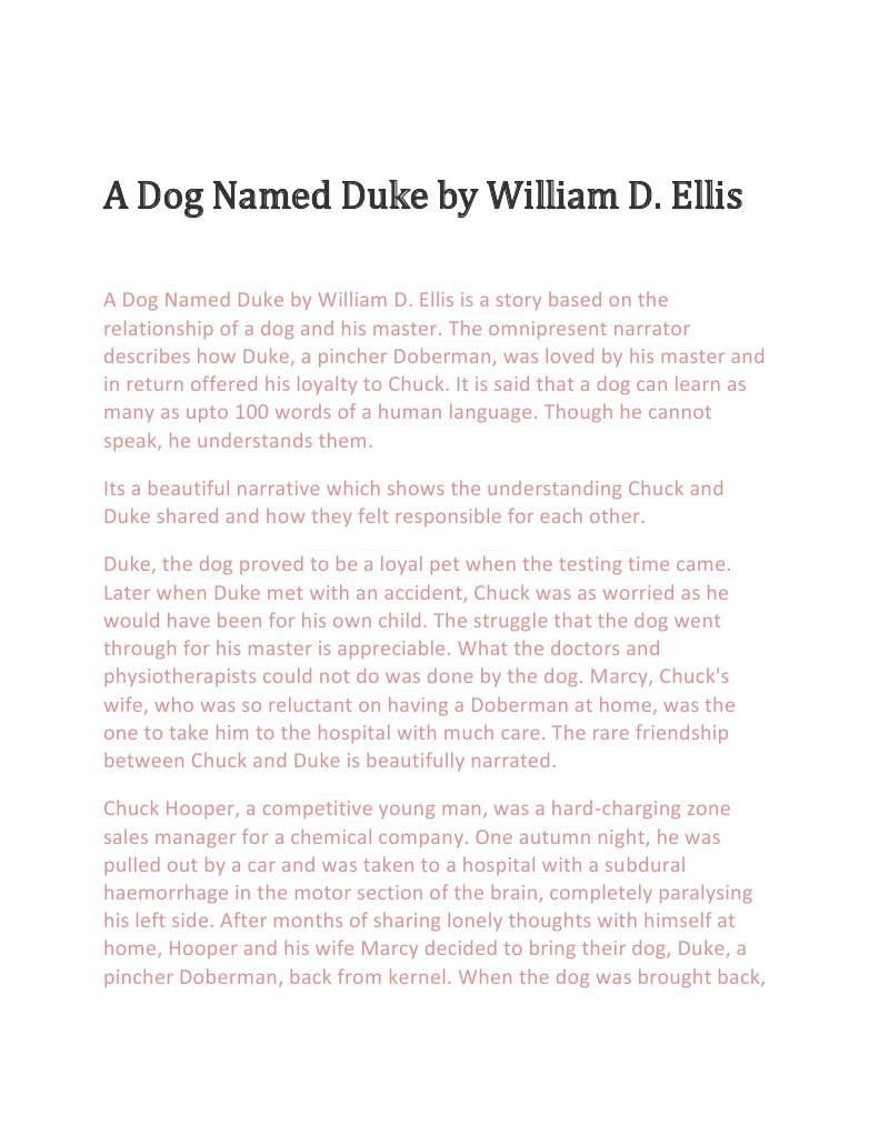 The Amazing Story Of Duke The Dog Who Launched A Product Empire In 1995 - dsw9njt