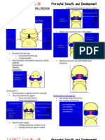 Development of Peri