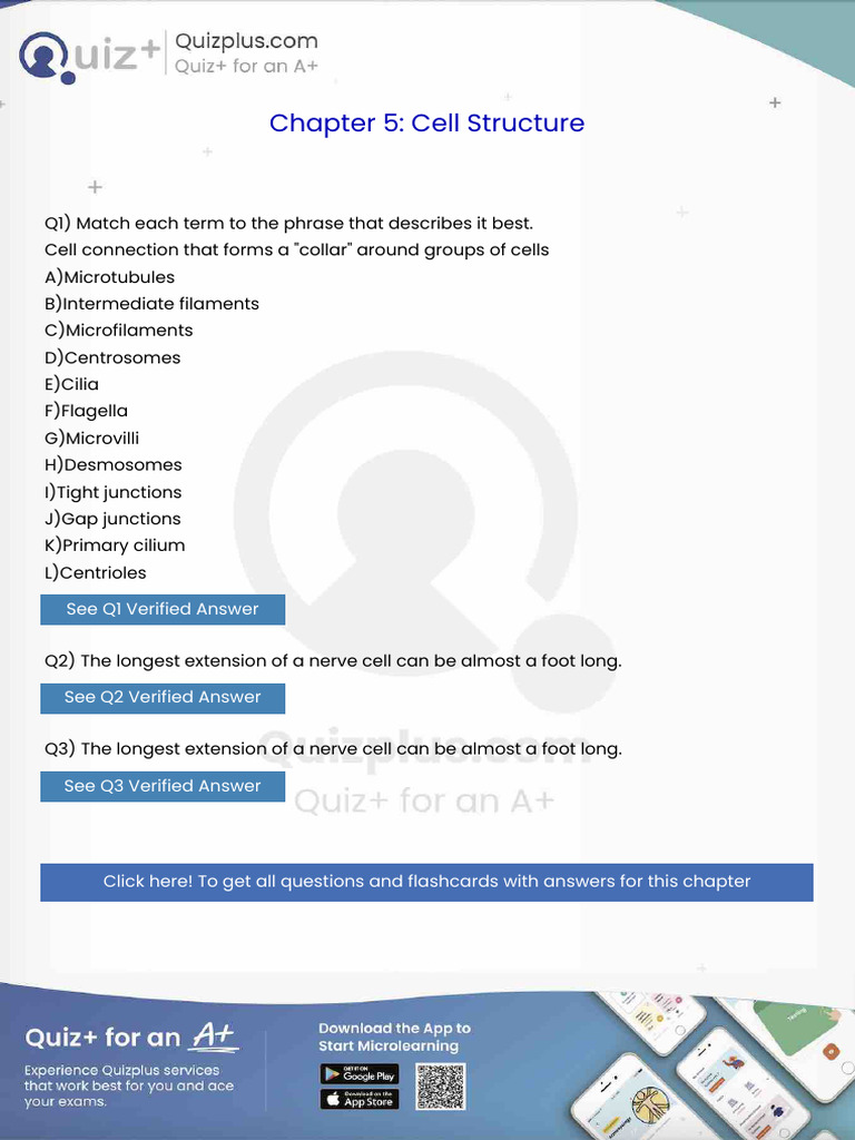 Cell Connection That Forms A Collar Around Groups of Cells | PDF