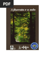 A Floresta e o Solo!!!