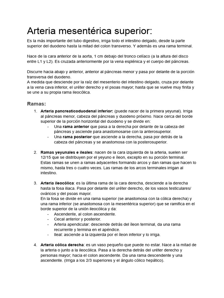 Arterias Mesentéricas | PDF | Intestino grueso | Tracto gastrointestinal